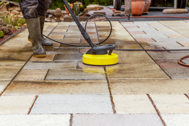 Best Roof Washing  in Pahokee, FL